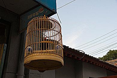 经典系列新作《巫术VD》PC版上线 3D迷宫RPG